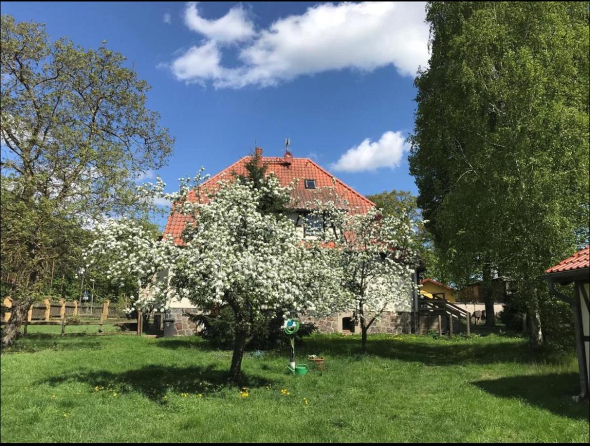 Hof Lillge Lägenhet Schorfheide Exteriör bild