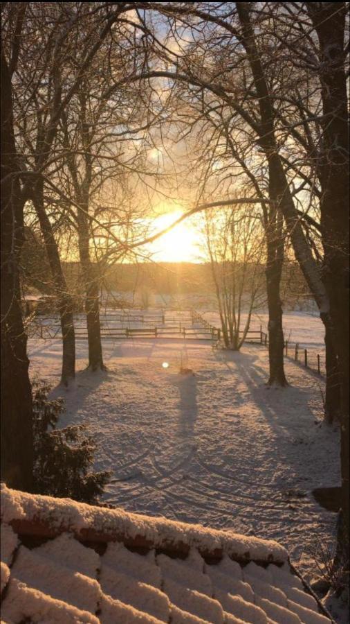 Hof Lillge Lägenhet Schorfheide Exteriör bild