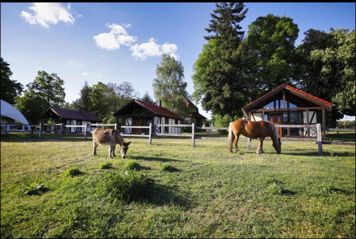 Hof Lillge Lägenhet Schorfheide Exteriör bild